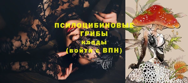 спиды Белоозёрский