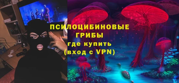 a pvp Белокуриха